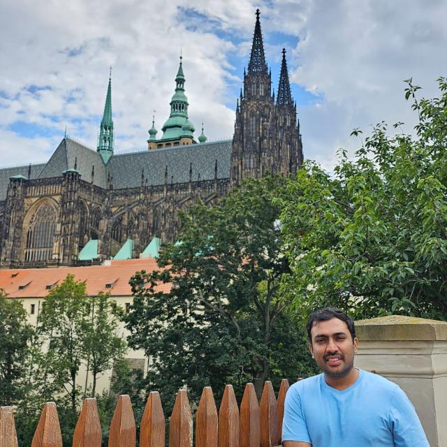  A person in a blue shirt stands by a wooden fence with a view of a large, ornate cathedral and cloudy sky in the background.